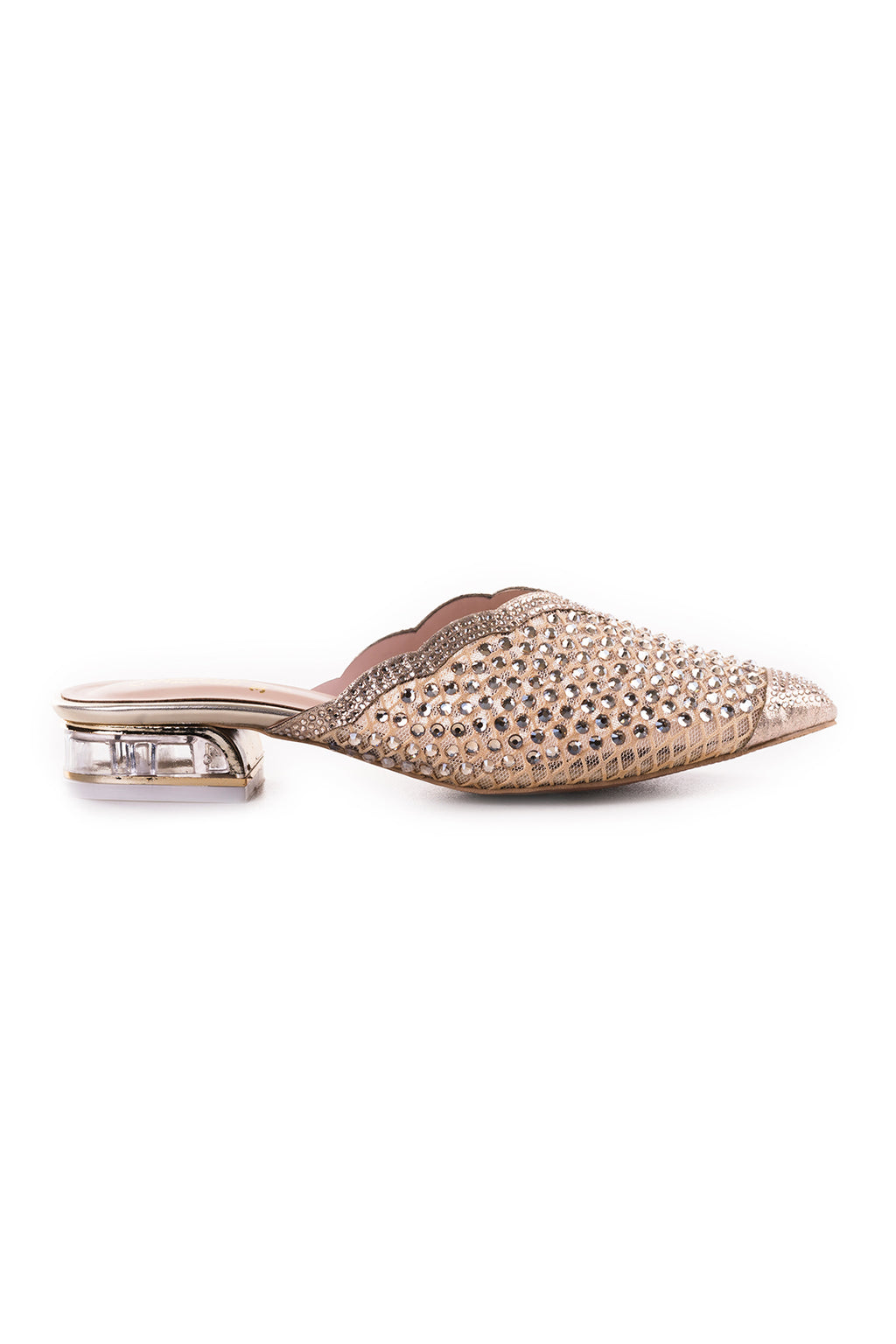 Golden Fancy Slipper L04151/011