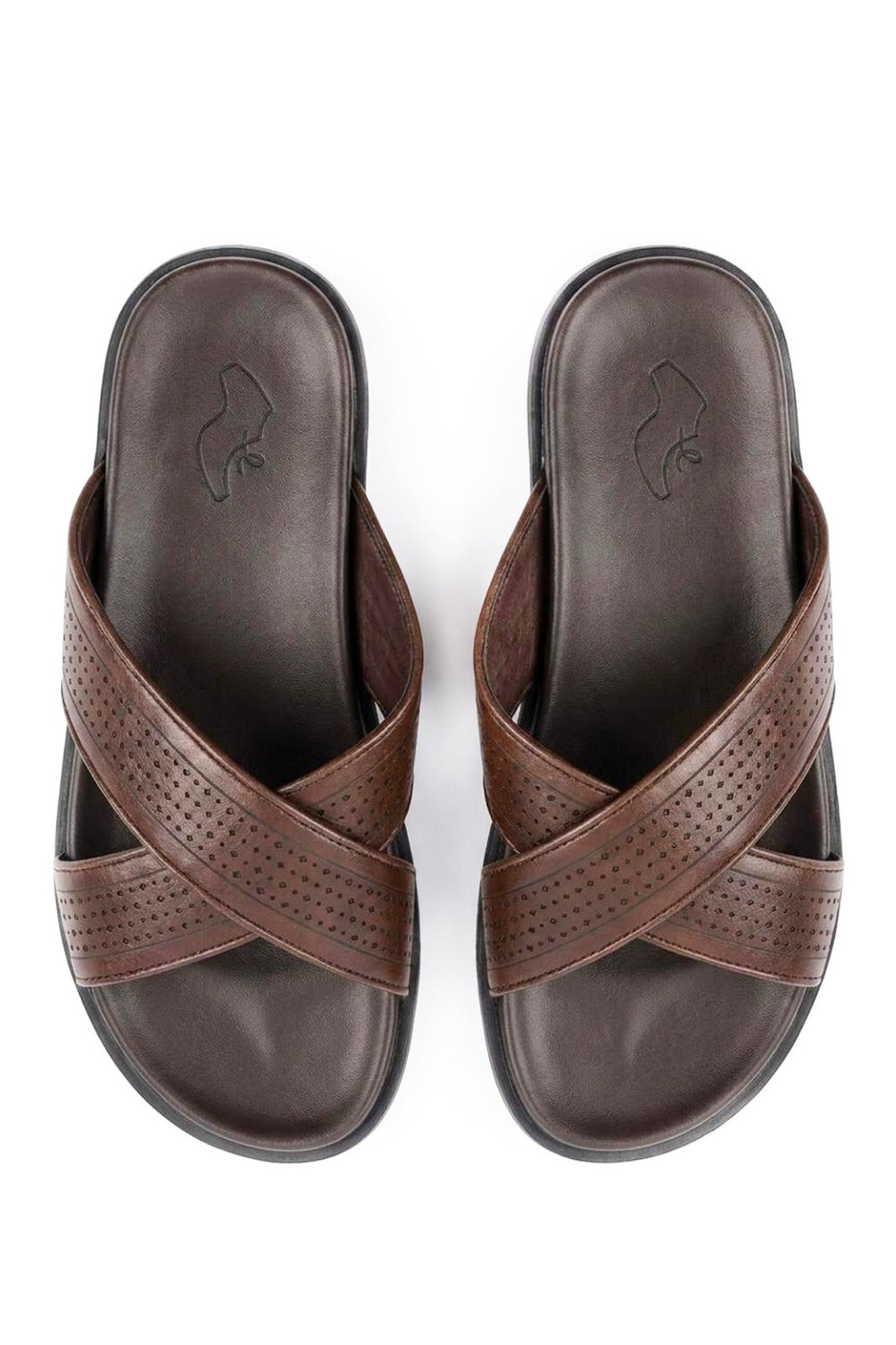 Coffee Slipper L01809/14f